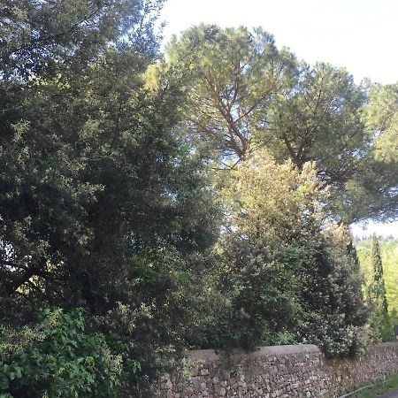 Elegante E Spazioso Bilocale In Zona Certosa Floransa Dış mekan fotoğraf